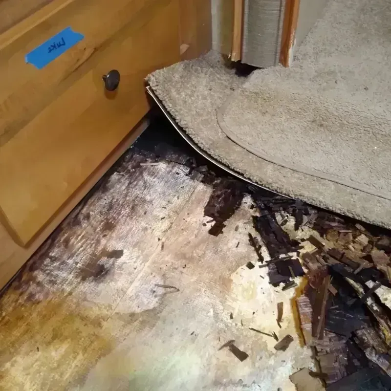 Best Wood Floor Water Damage Service in Piggott, AR